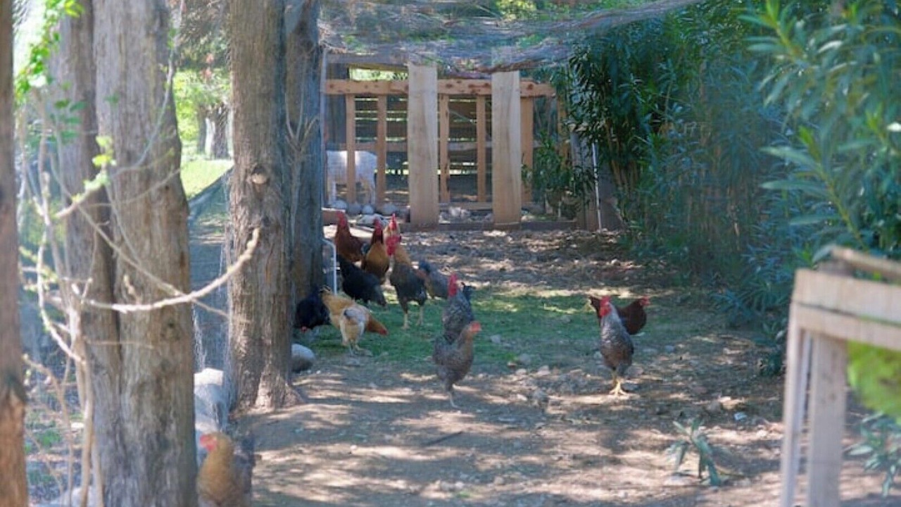 Photo of Outdoor in Seydikemer