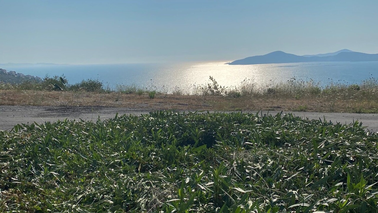 Photo of Outdoor in Gulluk