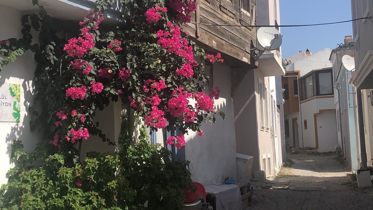 Photo of Outdoor in Bozcaada