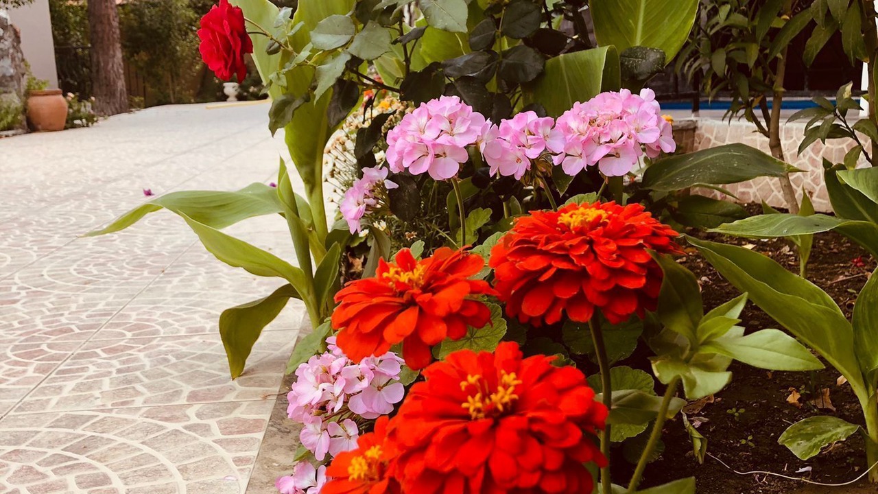 Photo of Outdoor in Dalyan City Center