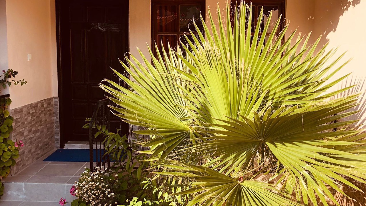 Photo of Outdoor in Dalyan City Center