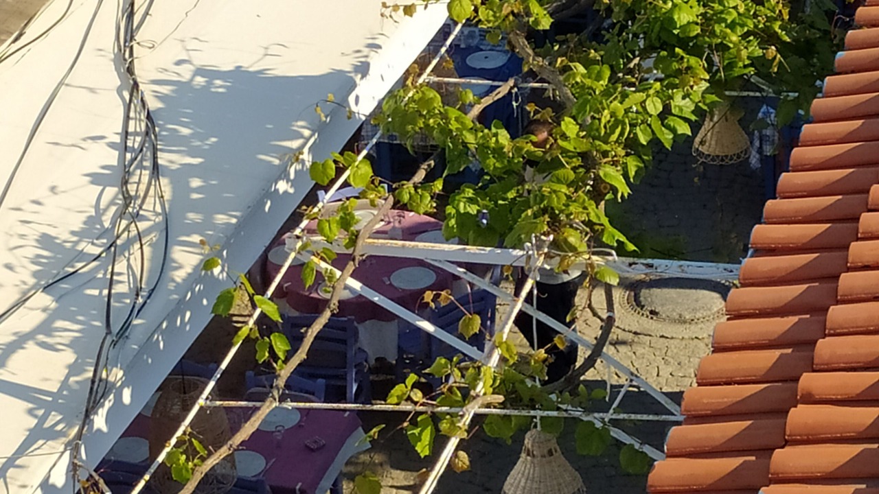 Photo of Others in Bozcaada