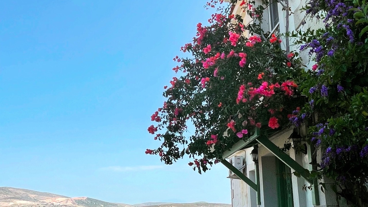 Photo of Others in Alacati