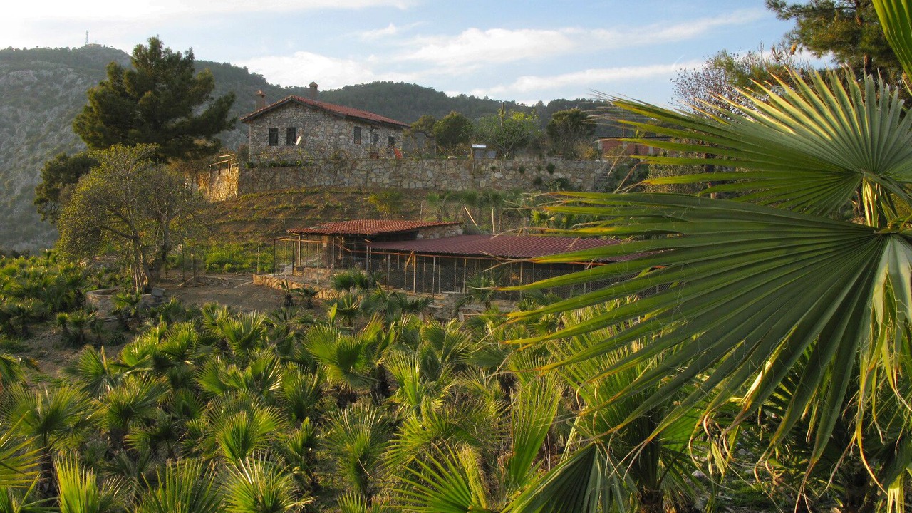 Photo of Outdoor in Ortaca
