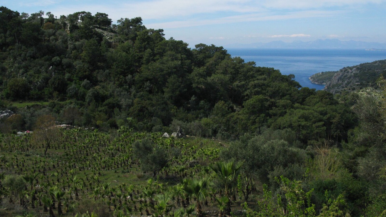 Photo of Outdoor in Ortaca