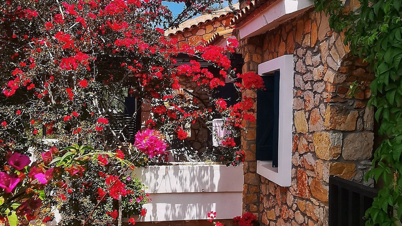Photo of Outdoor in Oludeniz City Center