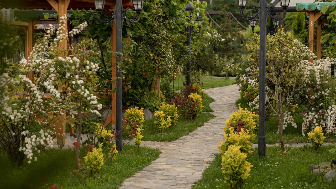 Photo of Outdoor in Pazar