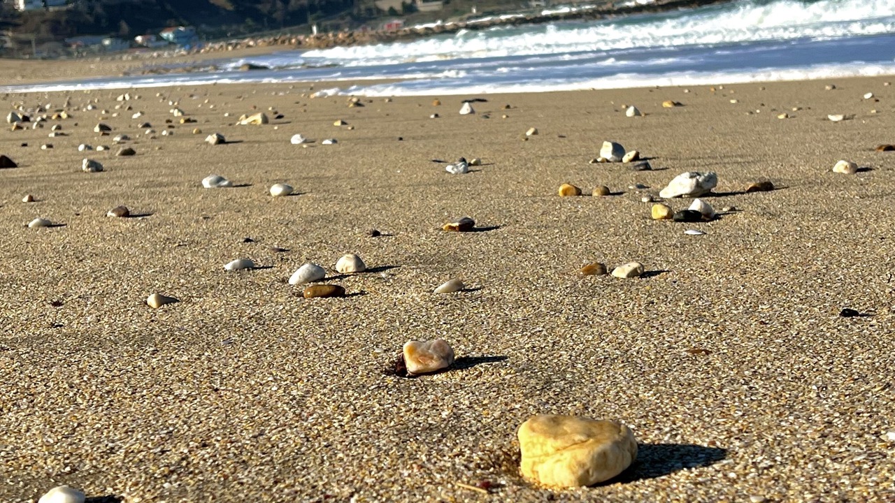 Photo of Others in Karaburun Koyu