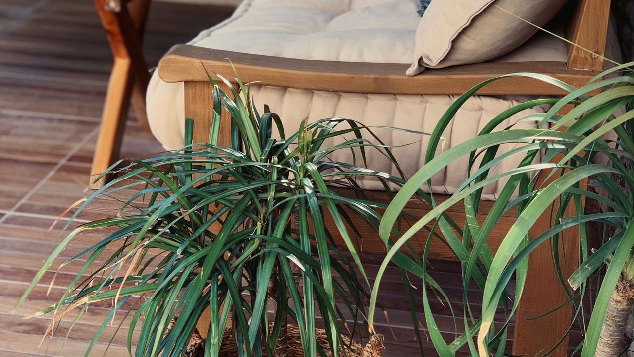 Photo of Outdoor in Hacımemis