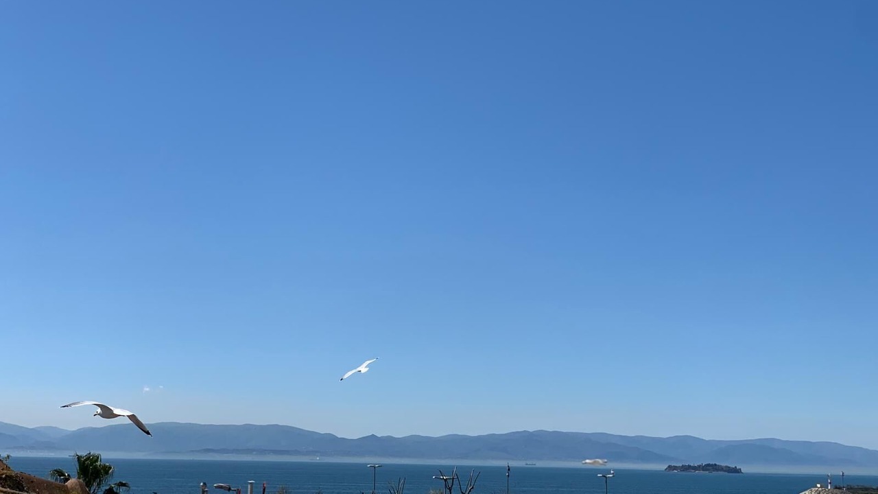 Photo of Outdoor in Pendik District