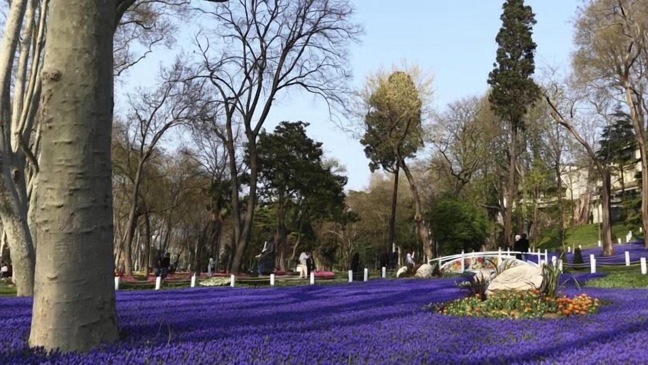 Photo of Outdoor in Sirkeci