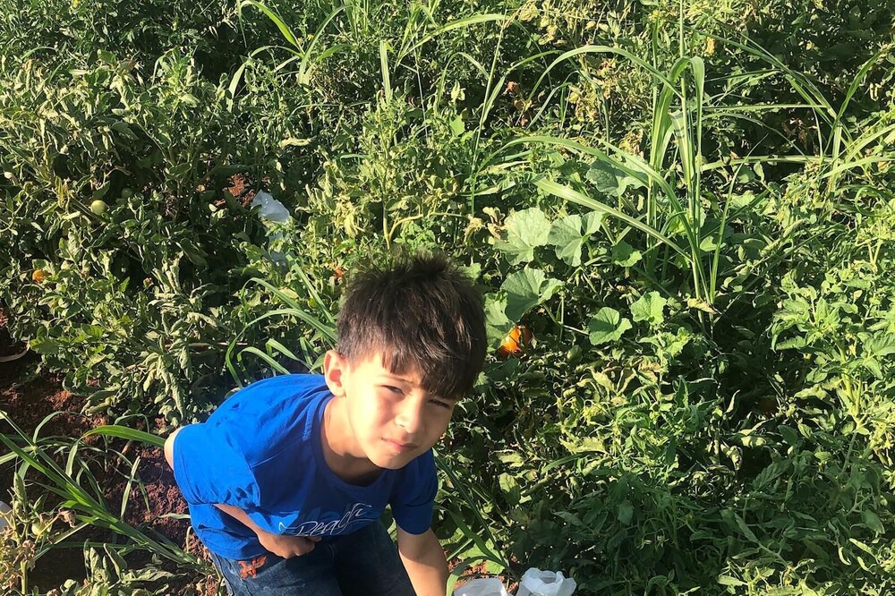 Photo of Others in Haliliye