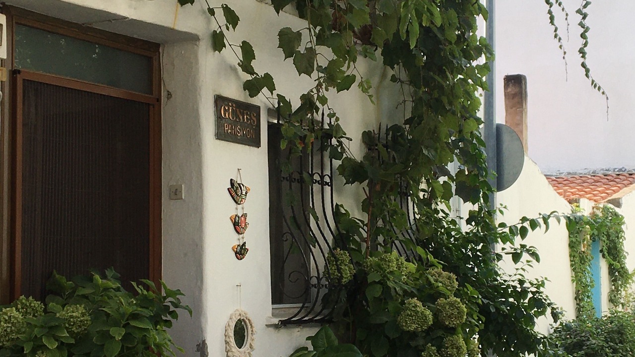Photo of Outdoor in Bozcaada