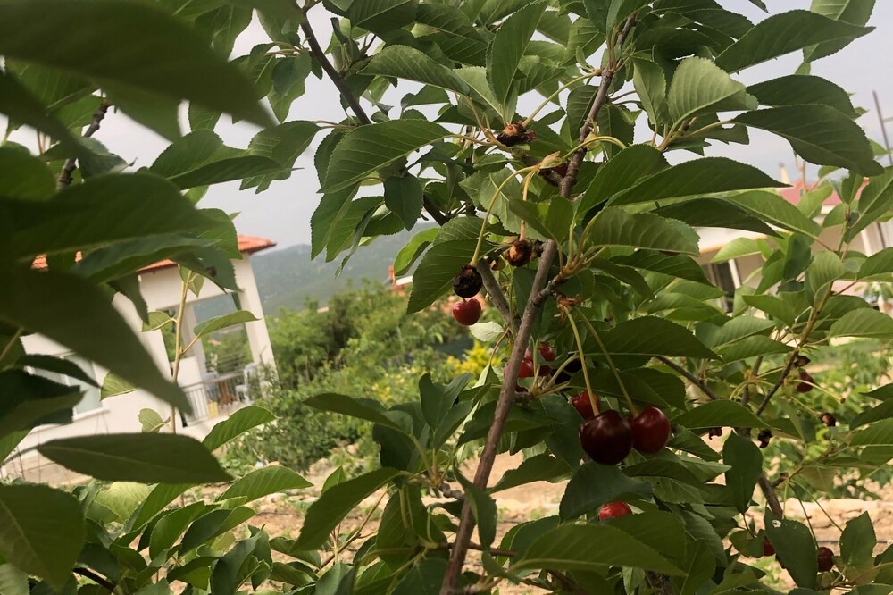 Photo of Outdoor in Korkuteli