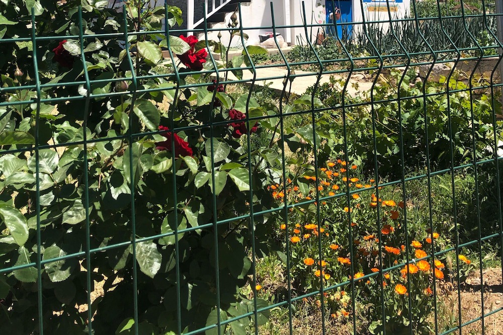Photo of Others in Korkuteli