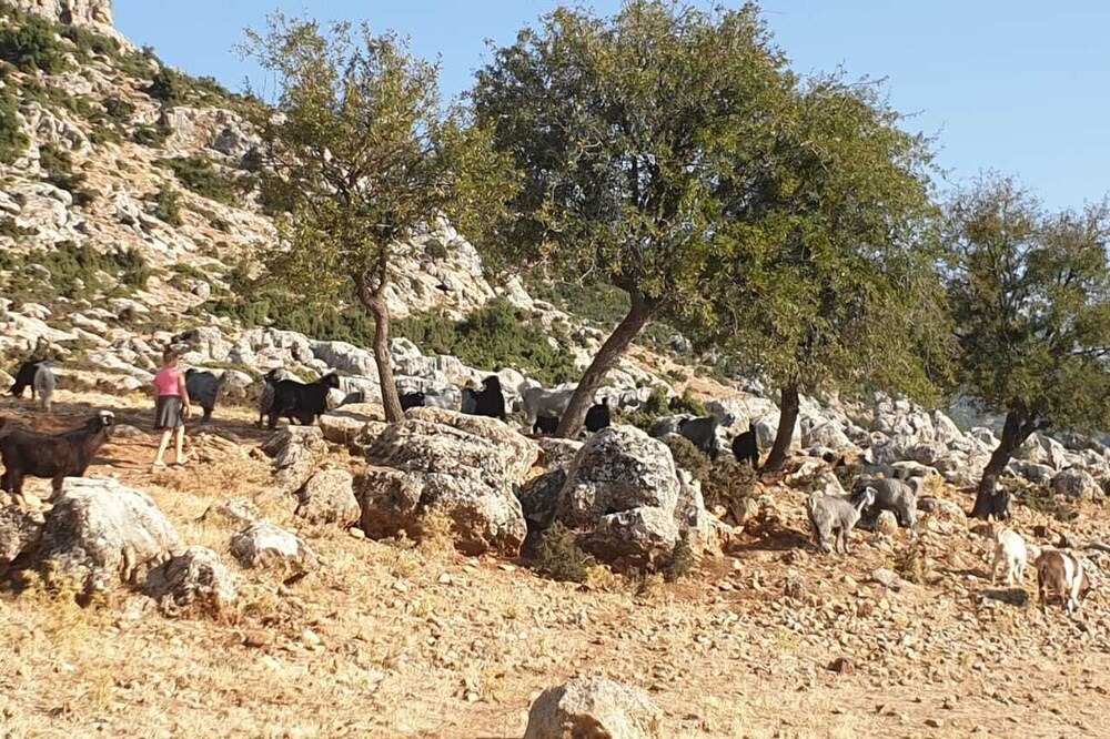 Photo of Others in Korkuteli