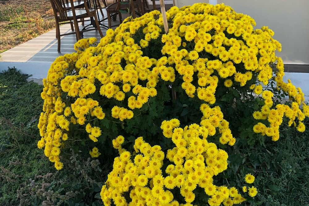 Photo of Outdoor in Korkuteli