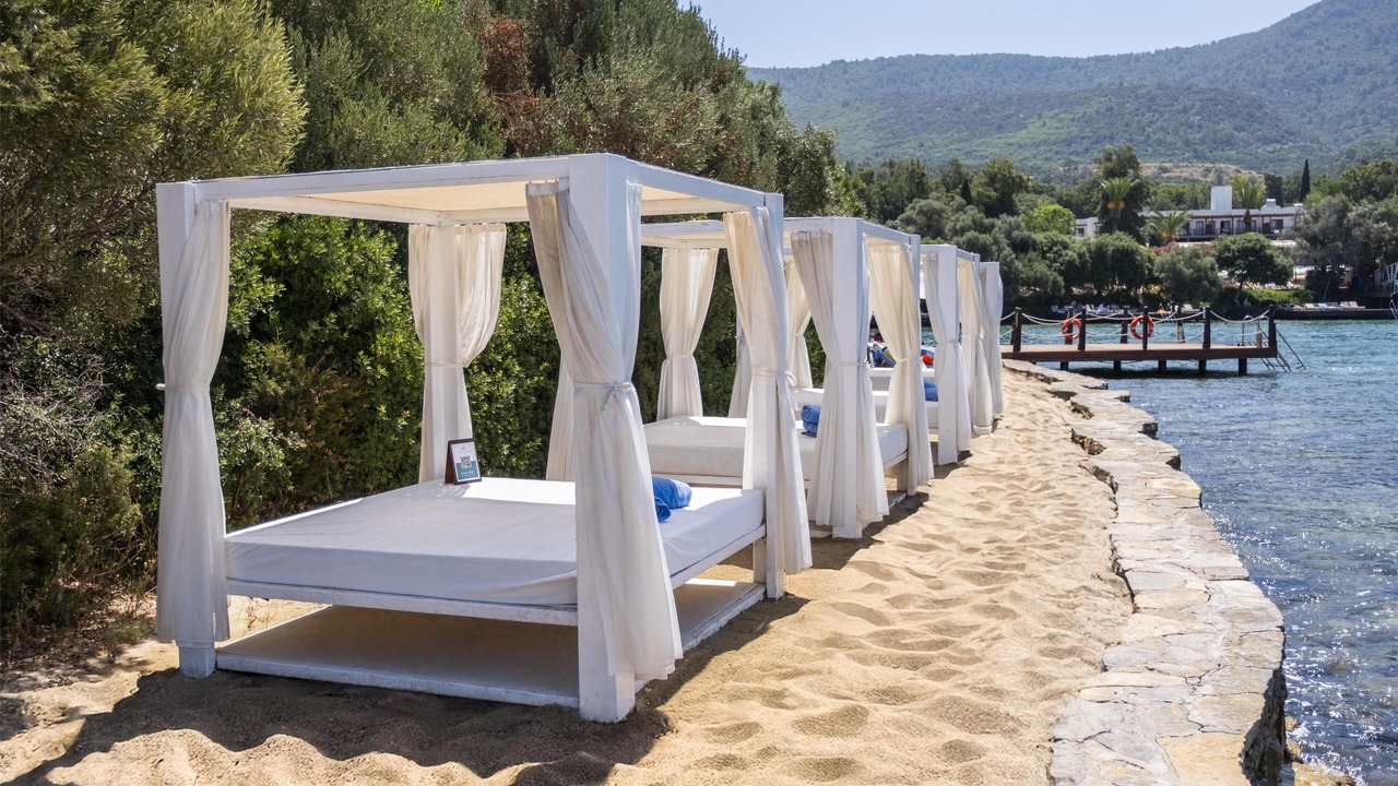 Photo of Others in Torba