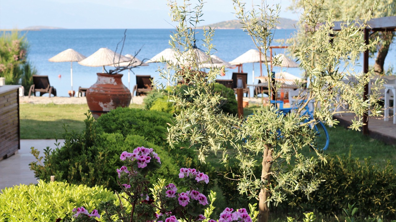 Photo of Others in Ayvalik