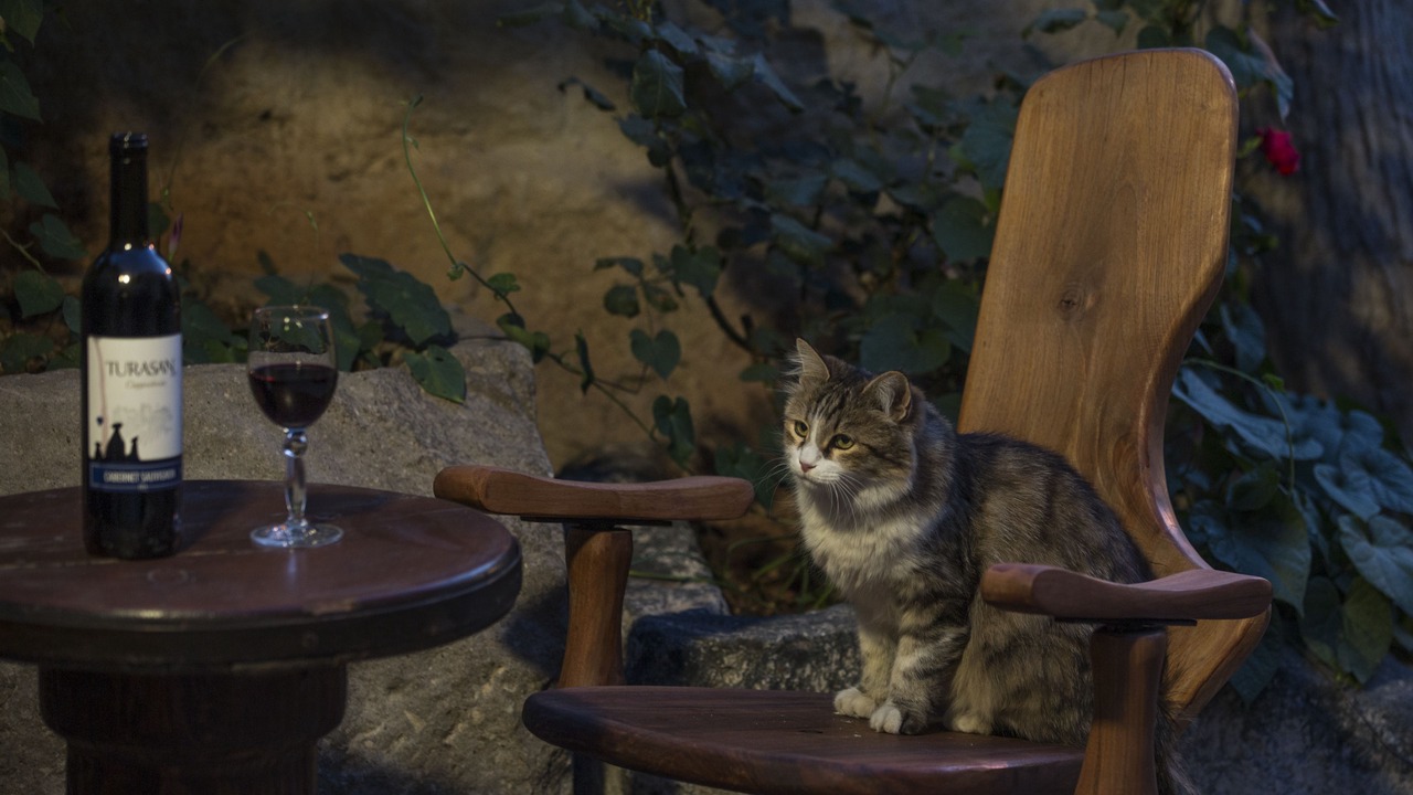 Photo of Outdoor in Goreme