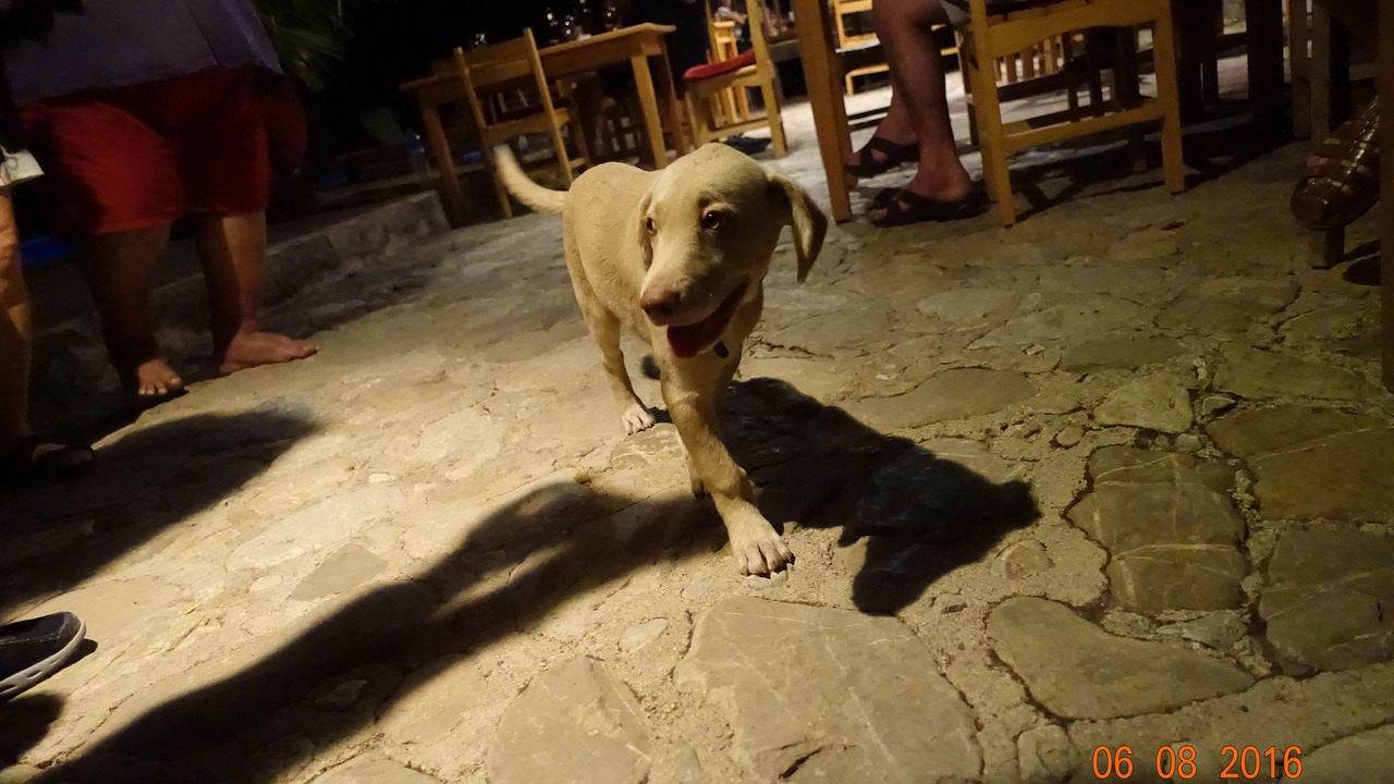 Photo of Others in Olympos