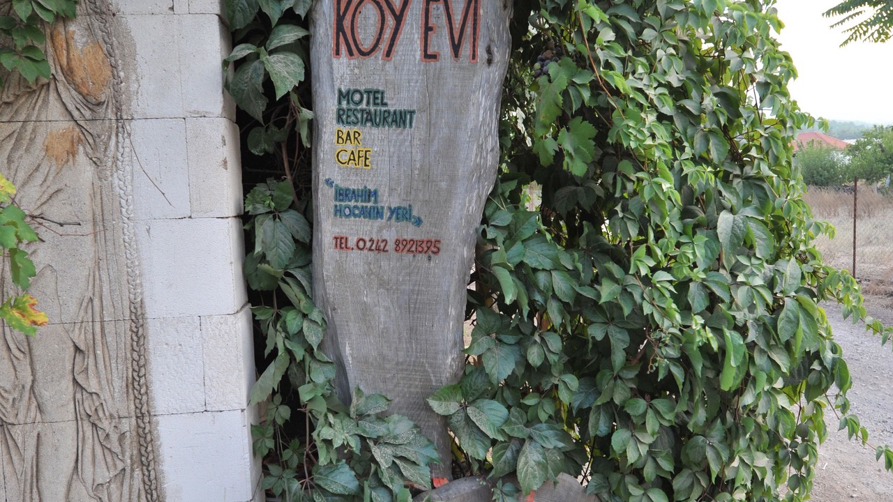 Photo of Others in Olympos
