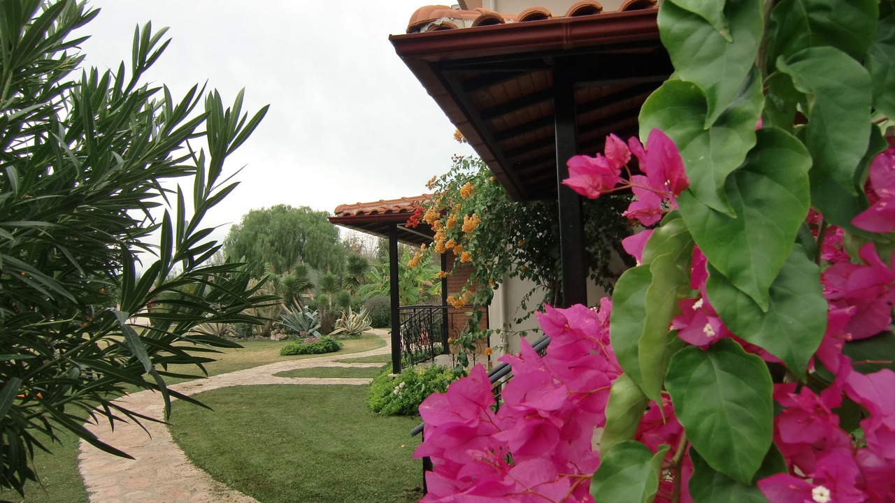 Photo of Outdoor in Dalyan