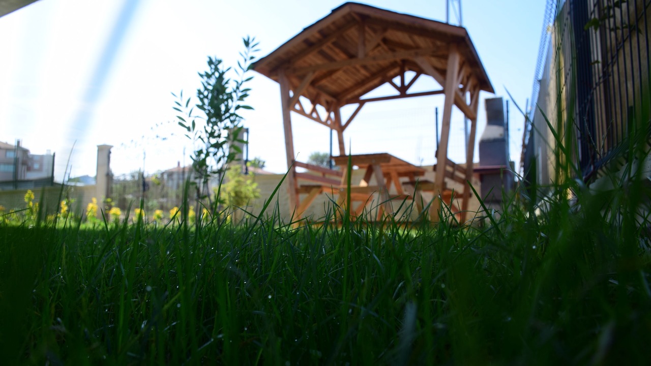 Photo of Outdoor in Sinop