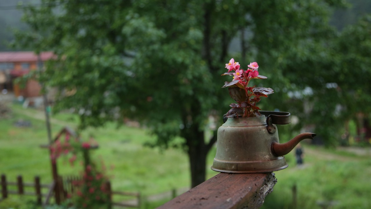 Photo of Outdoor in Ayder Yaylasi