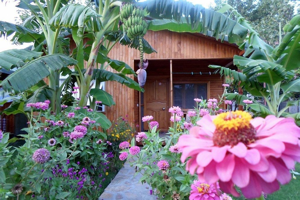 Photo of Outdoor in Cirali