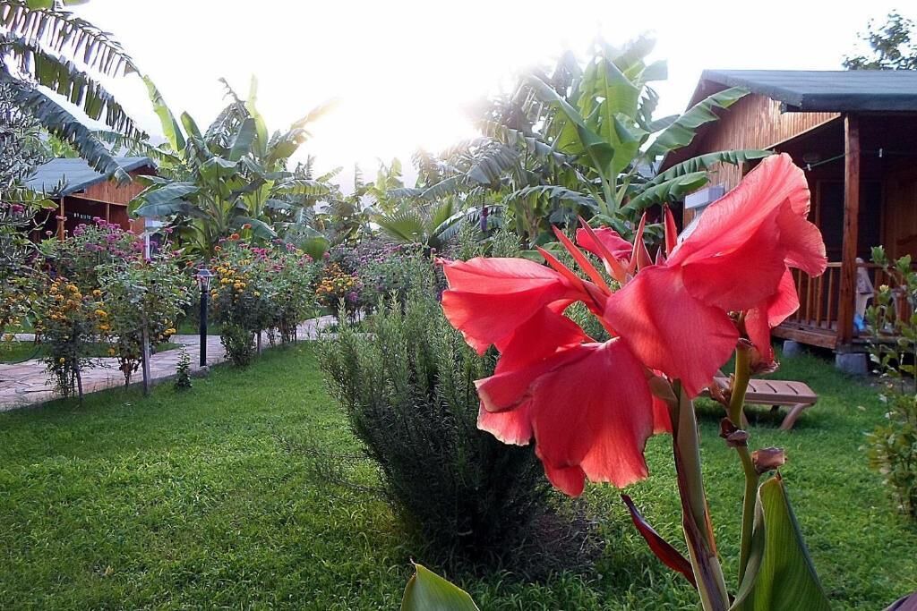 Photo of Outdoor in Cirali