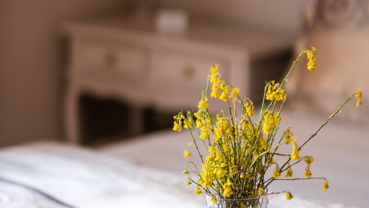 Photo of Bedroom in Bozcaada