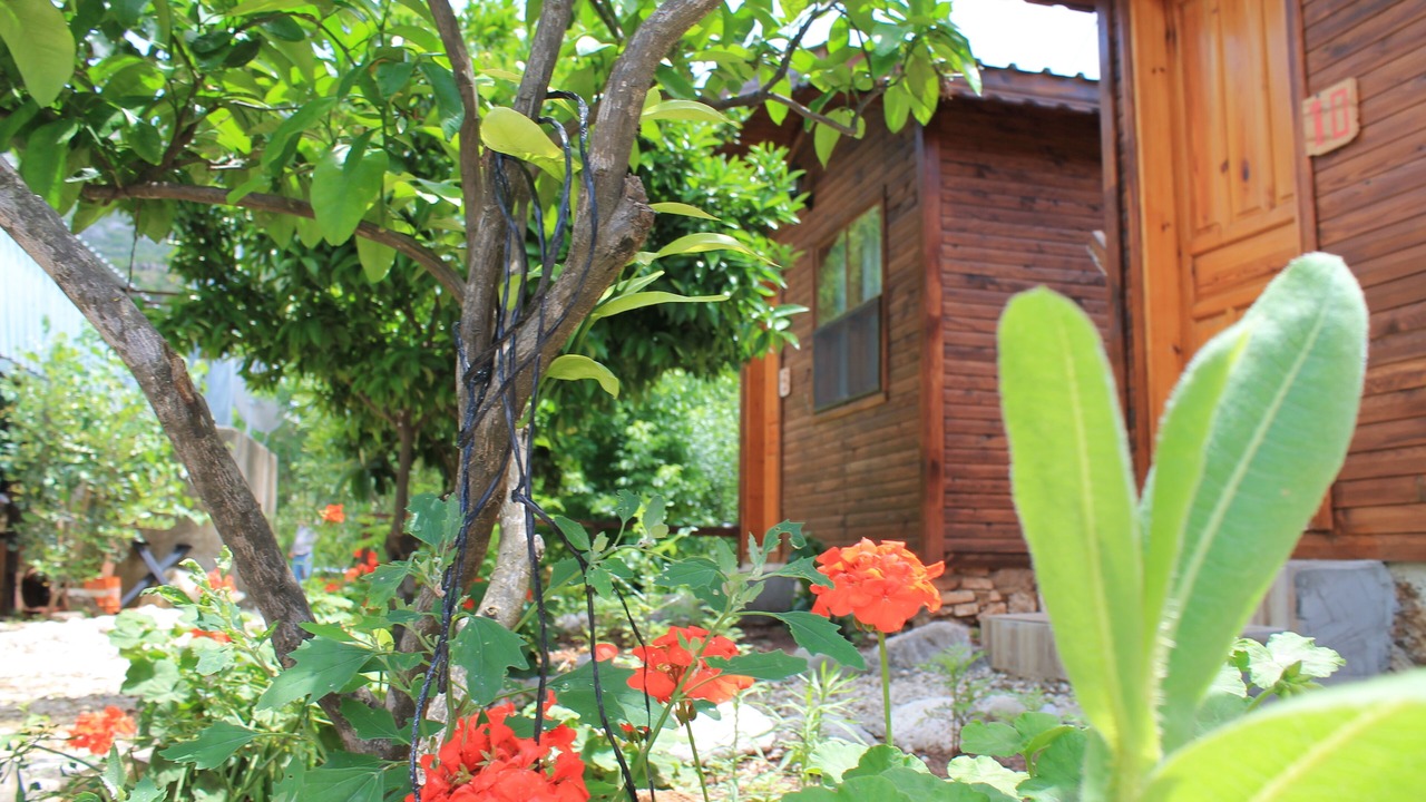 Photo of Outdoor in Olympos