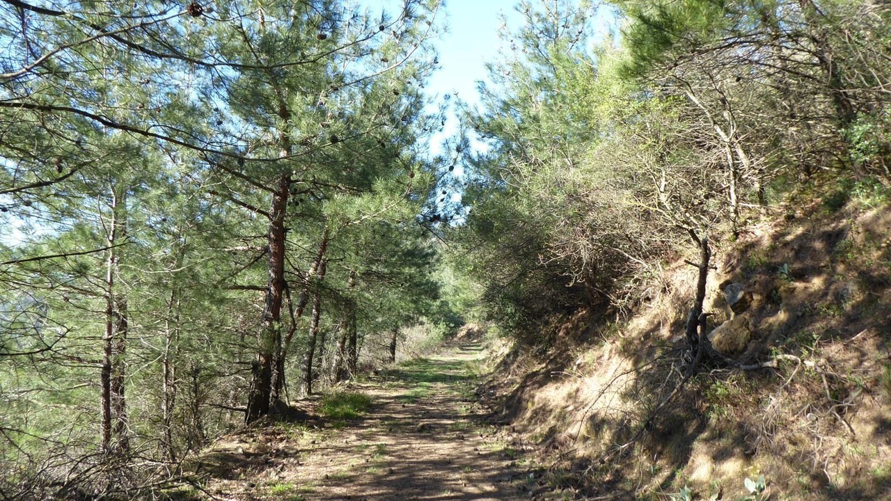 Photo of Outdoor in Nilufer