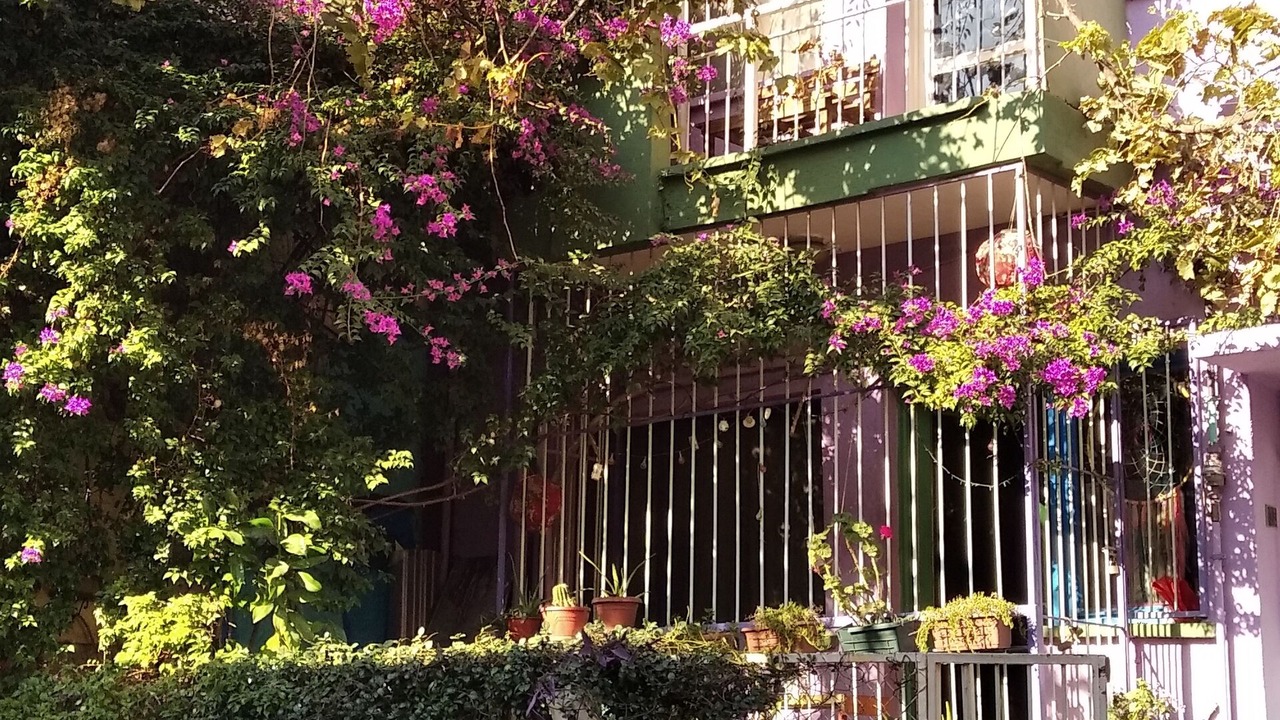 Photo of Patio Balcony in Old Town