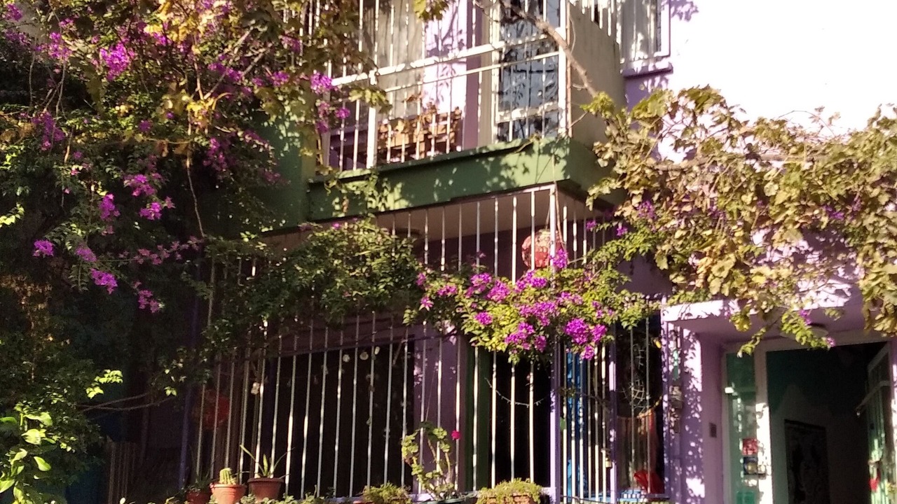 Photo of Others in Old Town