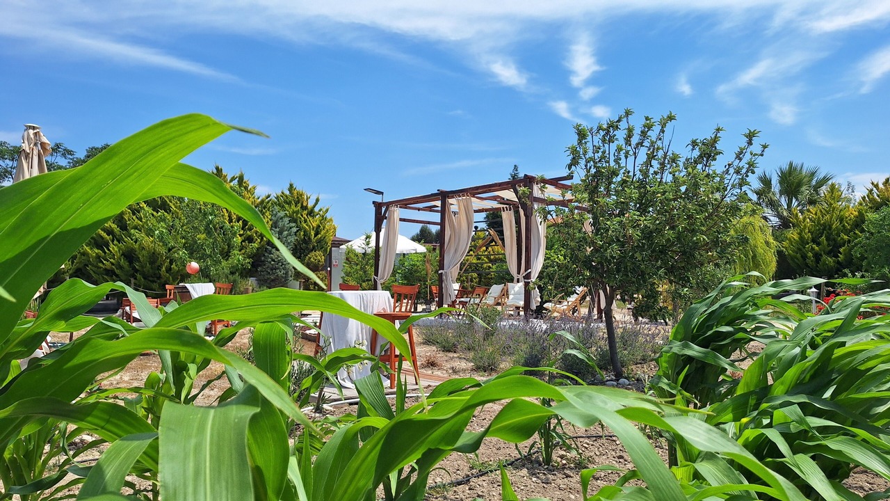 Photo of Outdoor in Bozcaada
