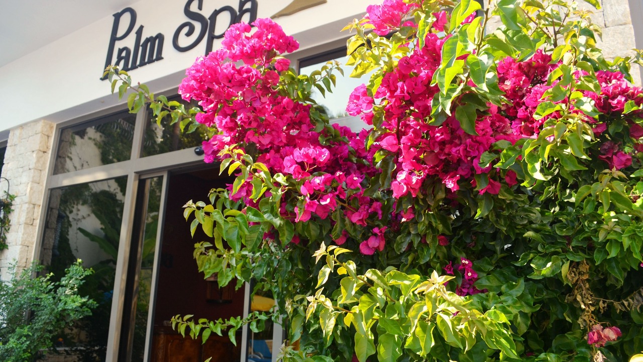 Photo of Others in Oludeniz City Center