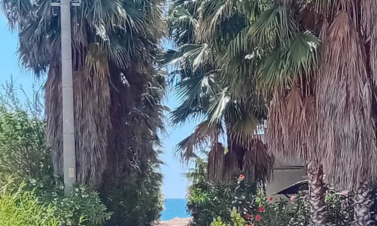 Photo of Others in Kizilot
