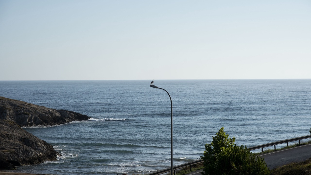 Photo of Outdoor in Sile