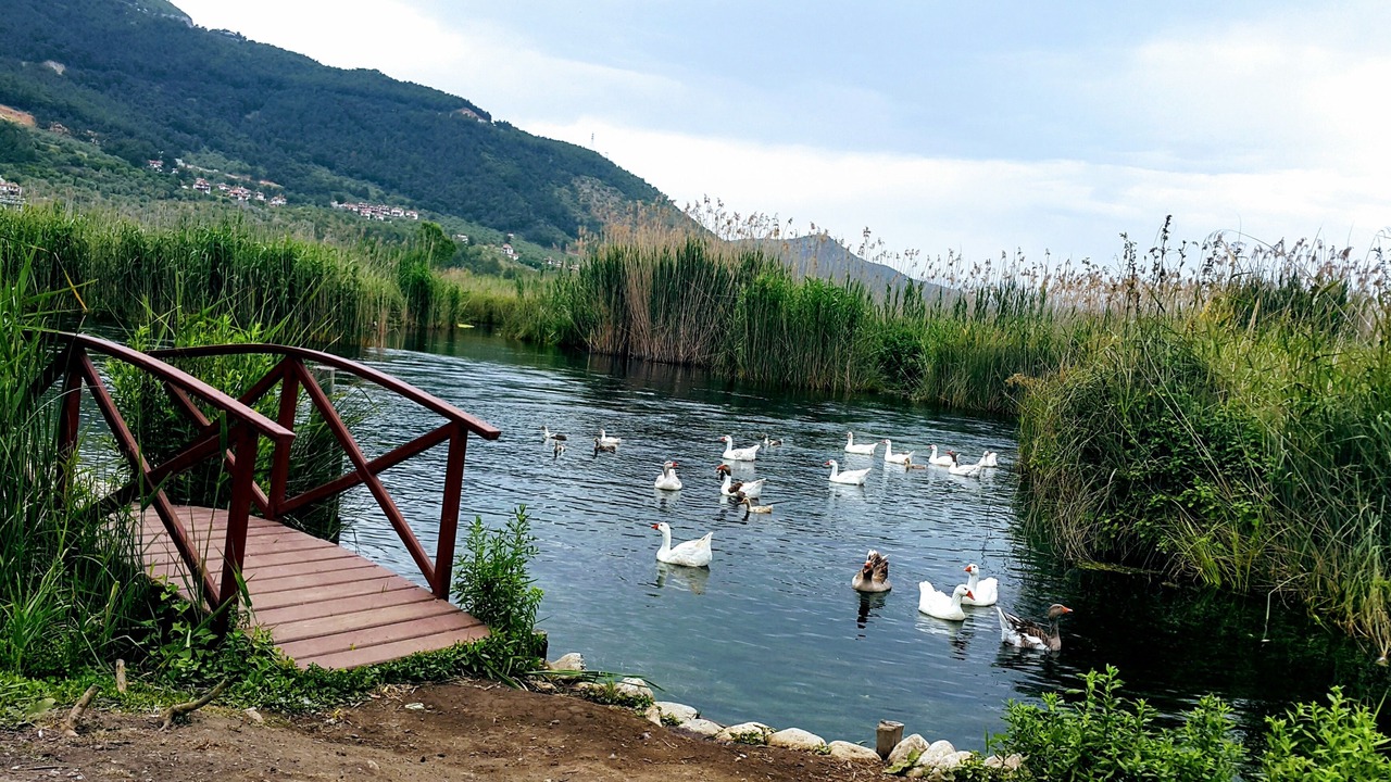 Photo of Outdoor in Akyaka