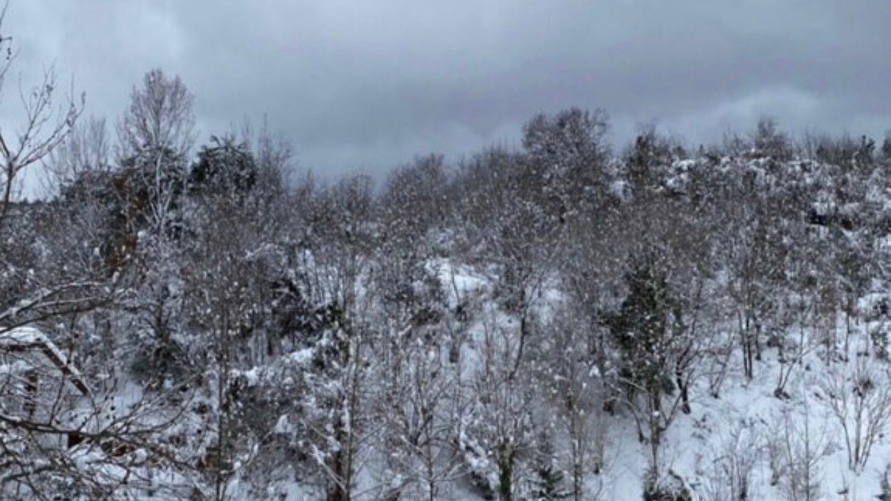 Photo of Outdoor in Gokcedere