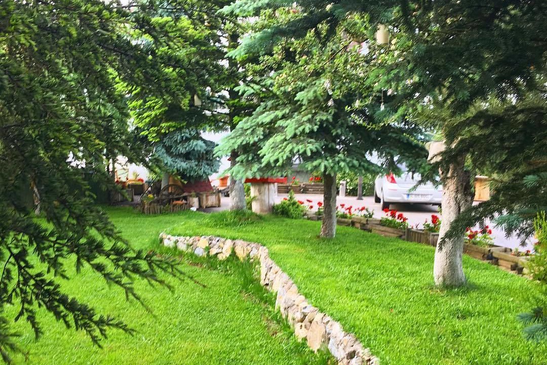 Photo of Others in Saraycık