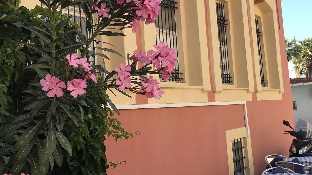 Photo of Outdoor in Cesme