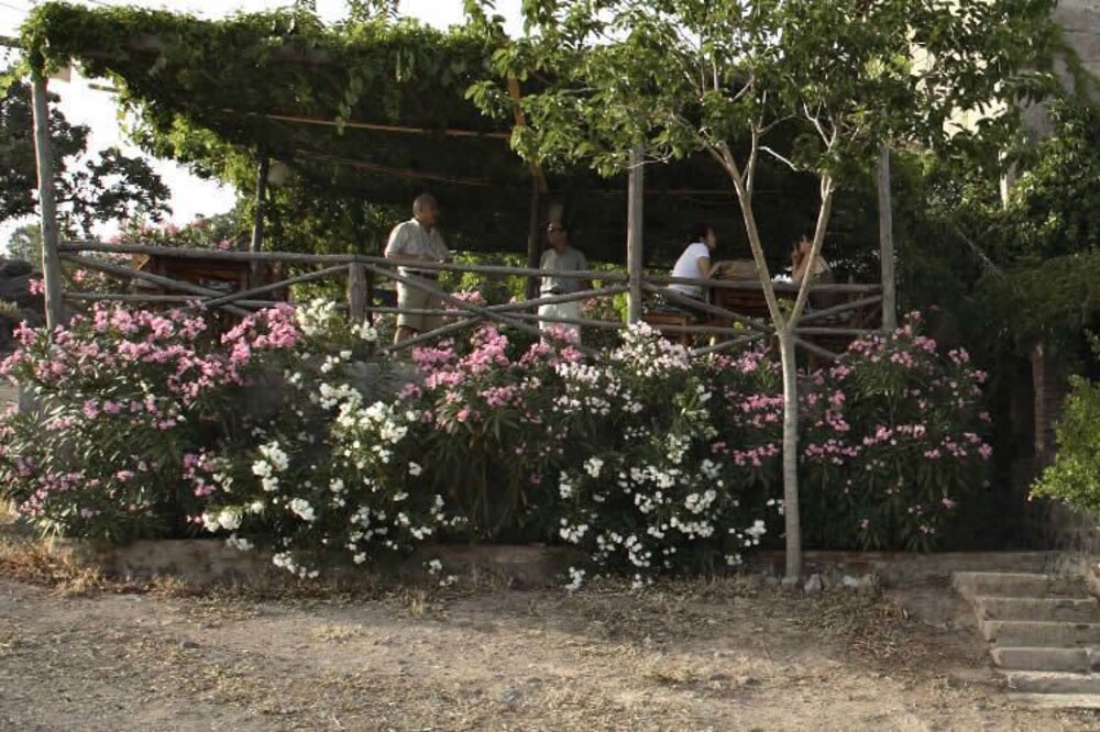 Photo of Outdoor in Ayvacik