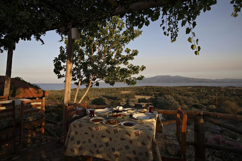Photo of Outdoor in Ayvacik