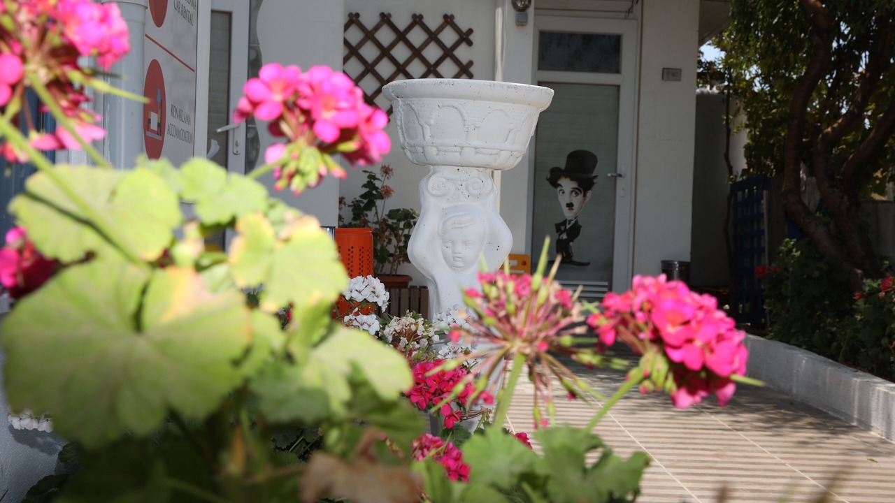 Photo of Outdoor in Didim