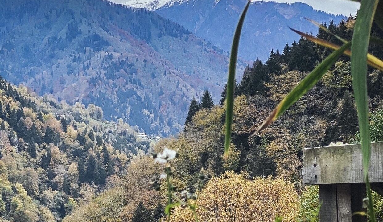 Photo of Outdoor in Ayder