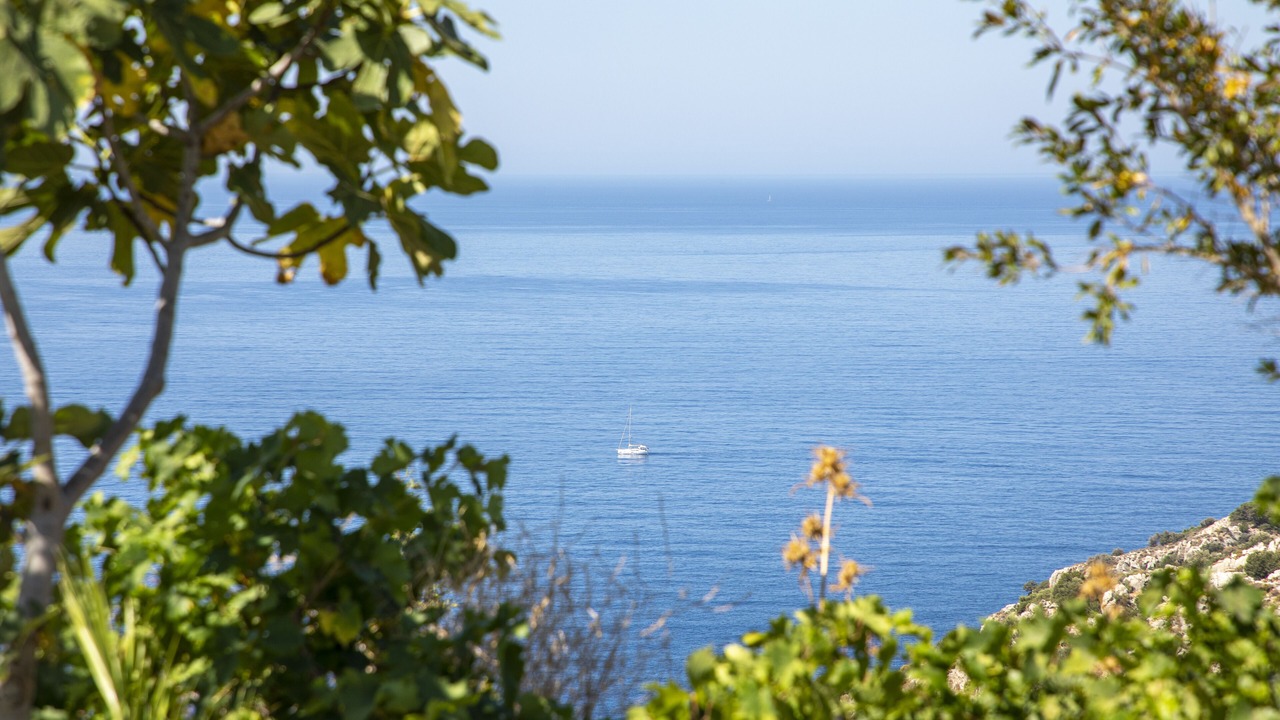Photo of Others in Datca