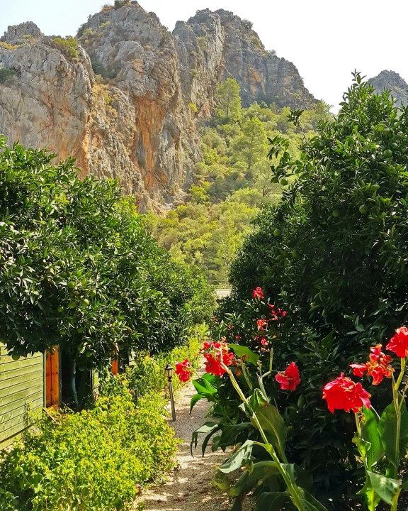 Photo of Outdoor in Olympos